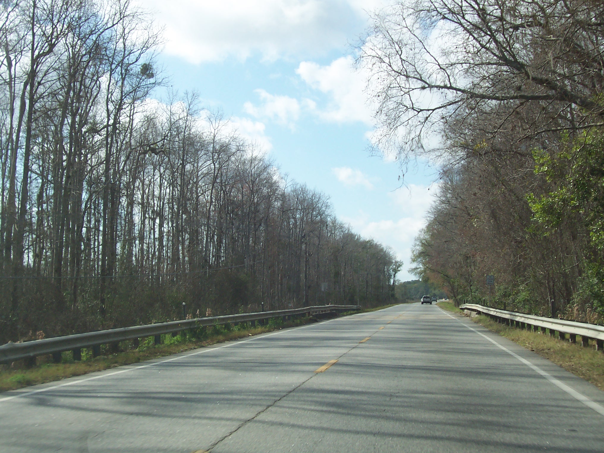 Coastal Georgia Roads.net