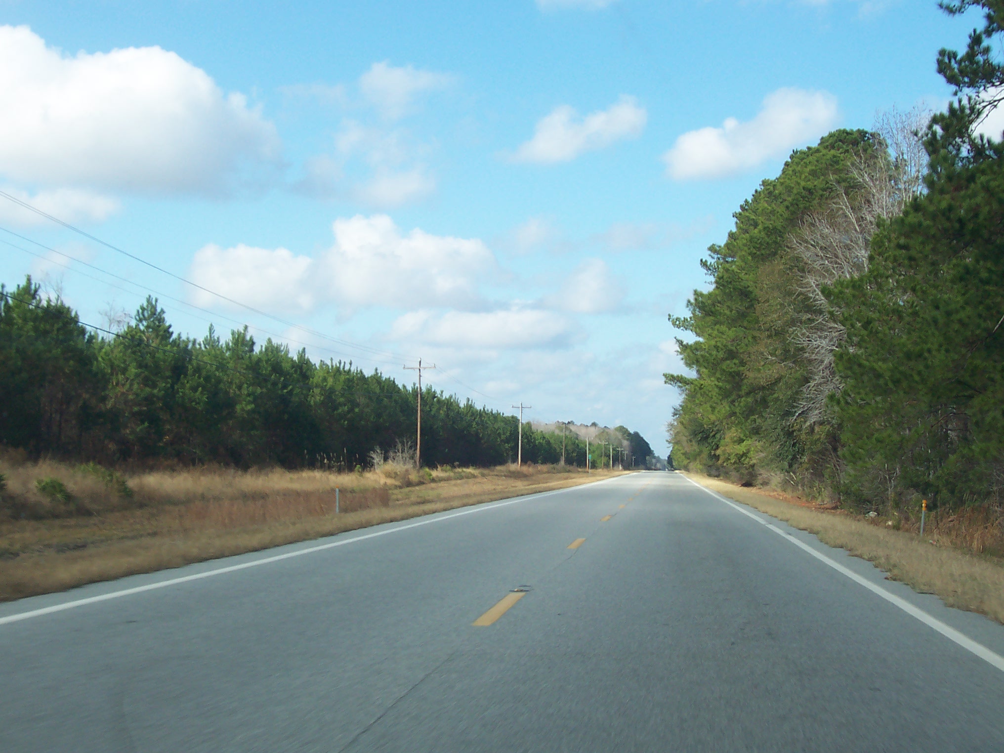Coastal Georgia Roads.net