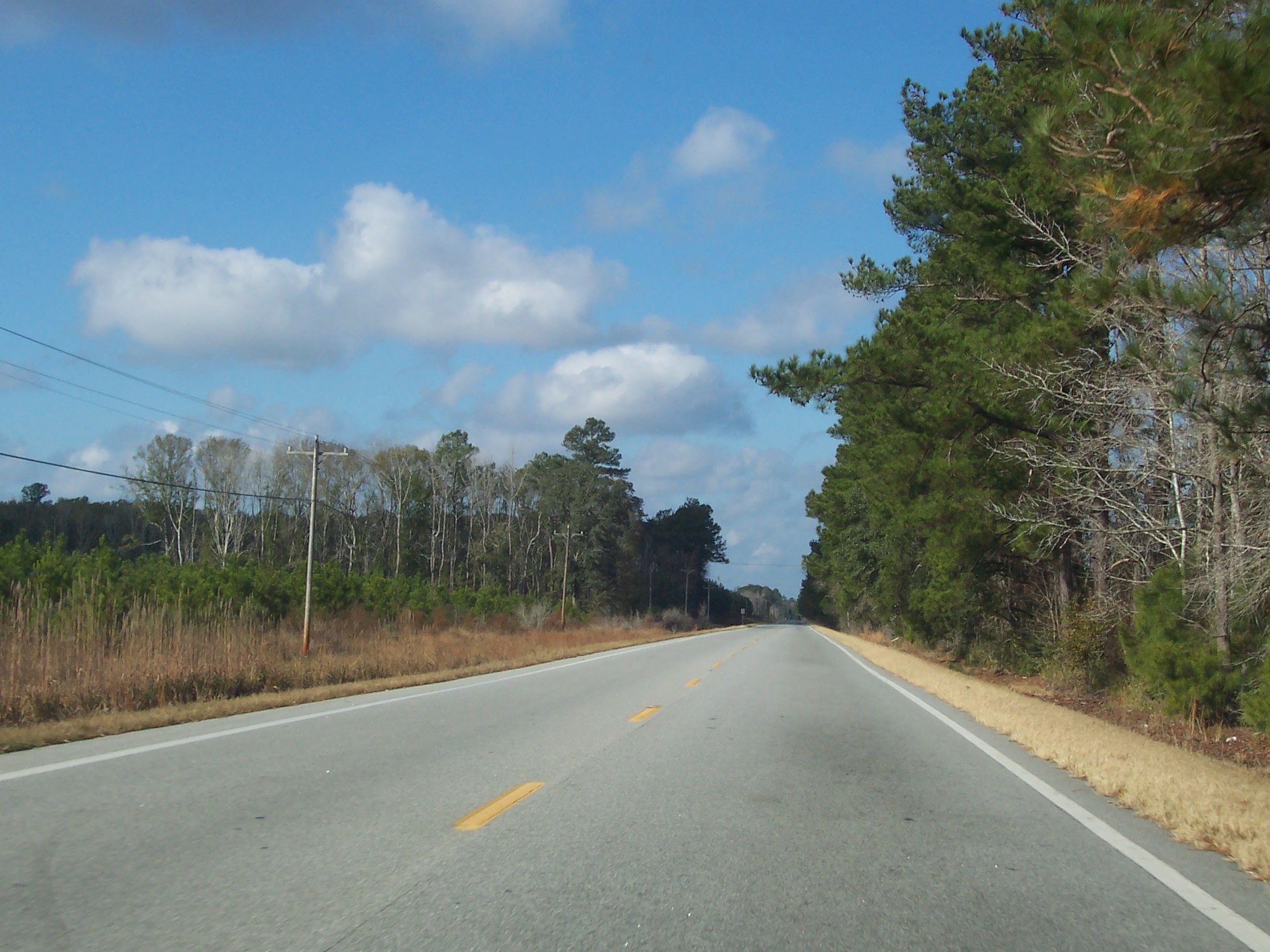 Coastal Georgia Roads.net