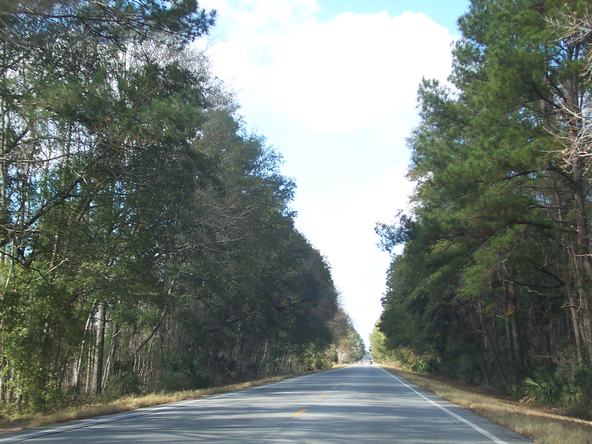 Coastal Georgia Roads.net