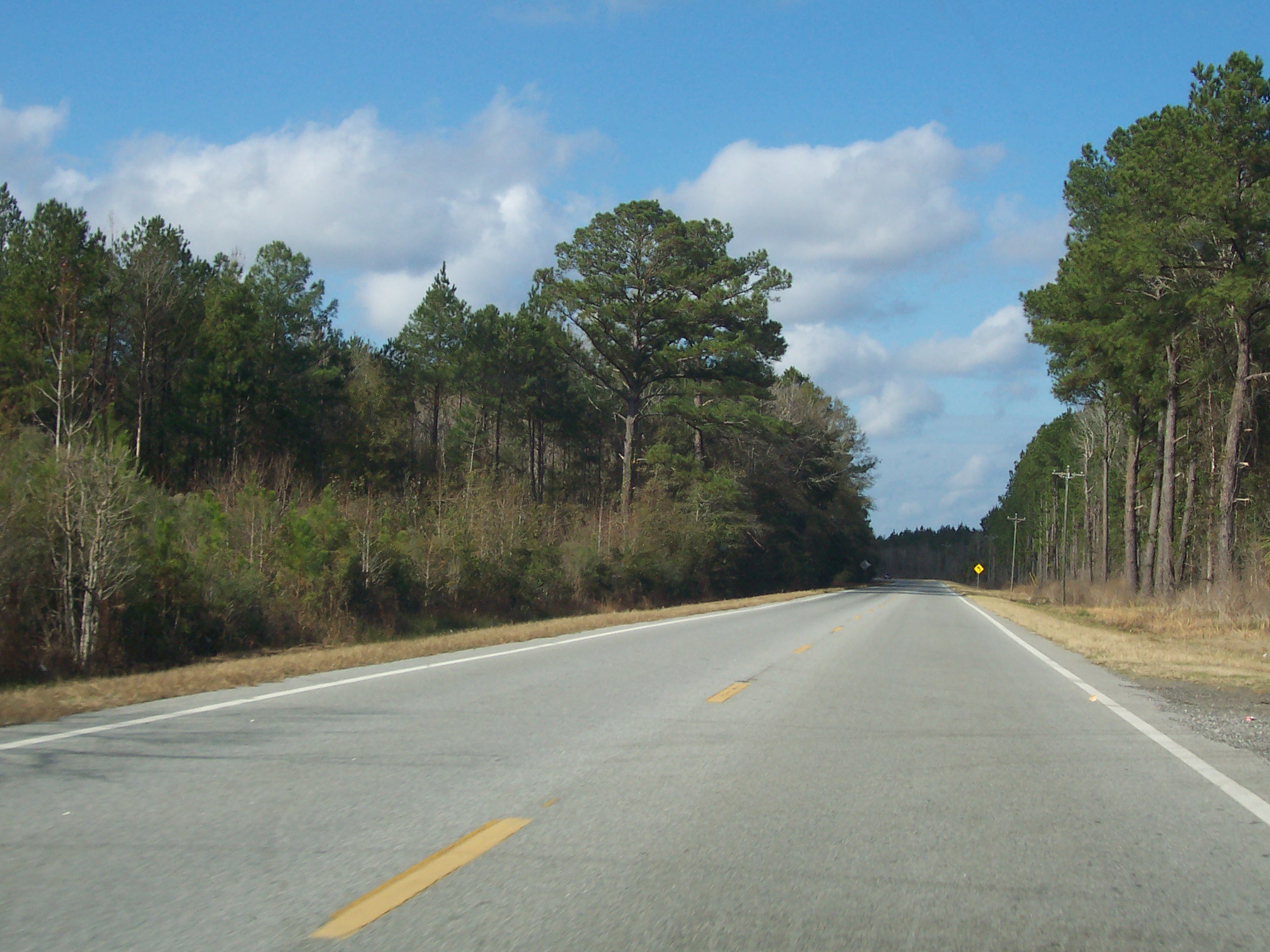 Coastal Georgia Roads.net
