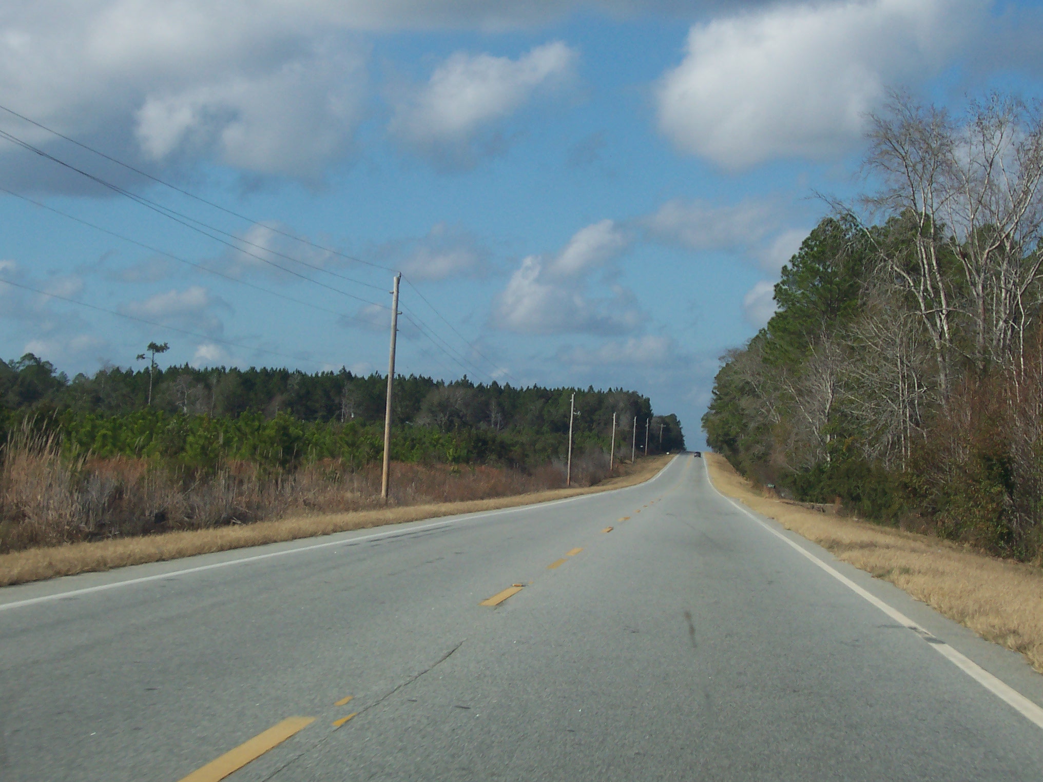 Coastal Georgia Roads.net