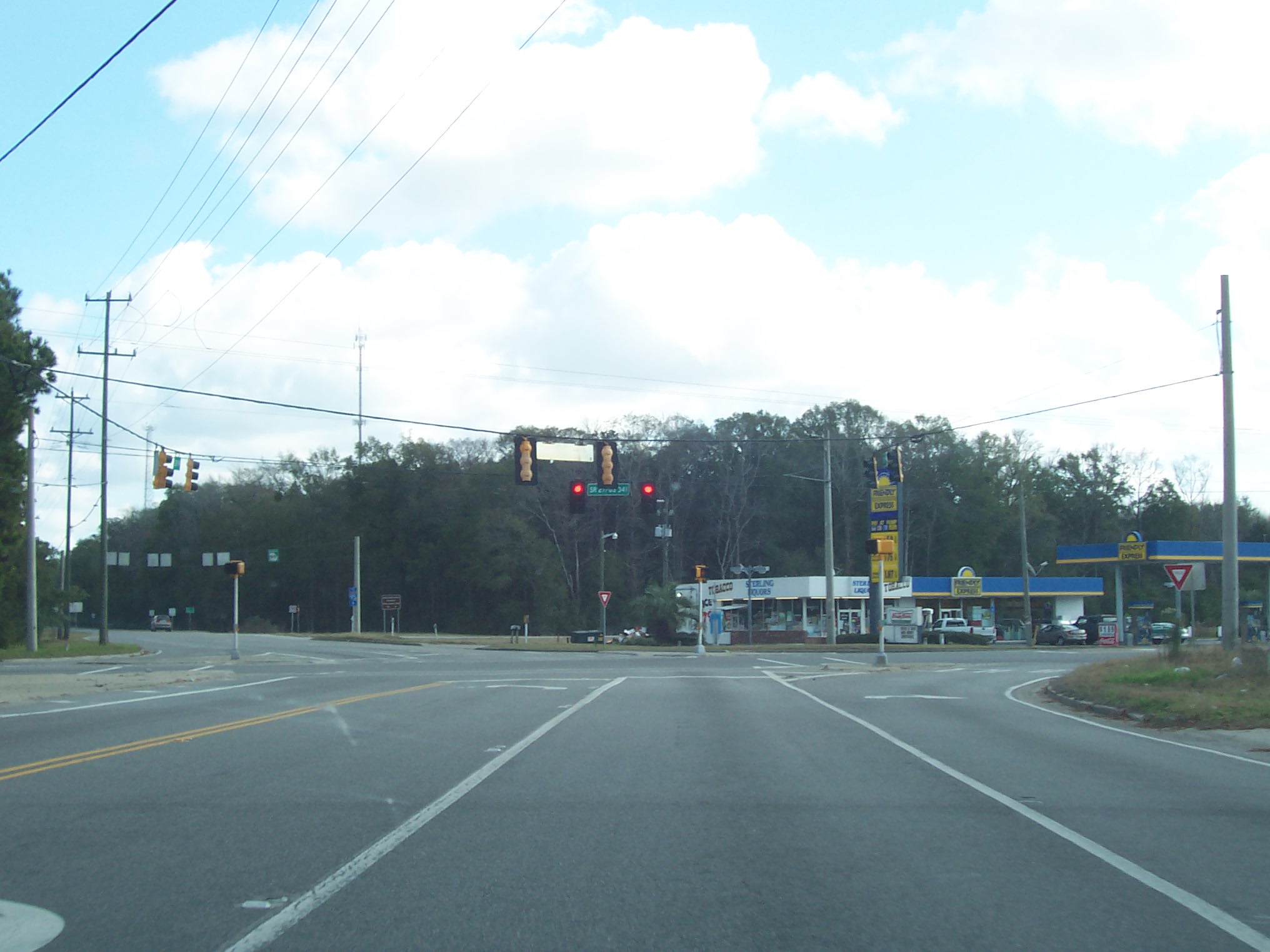 Coastal Georgia Roads.net